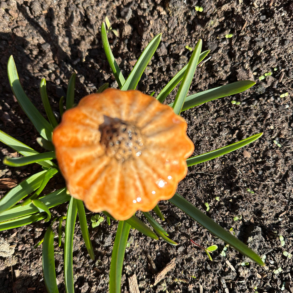 Keramikblomster