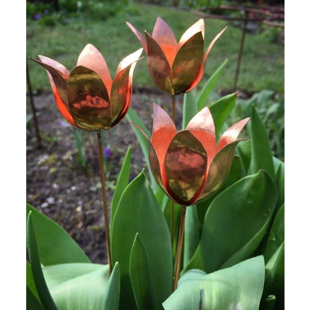 Botanisk tulipan - på pind - kobber - Blomster & stål